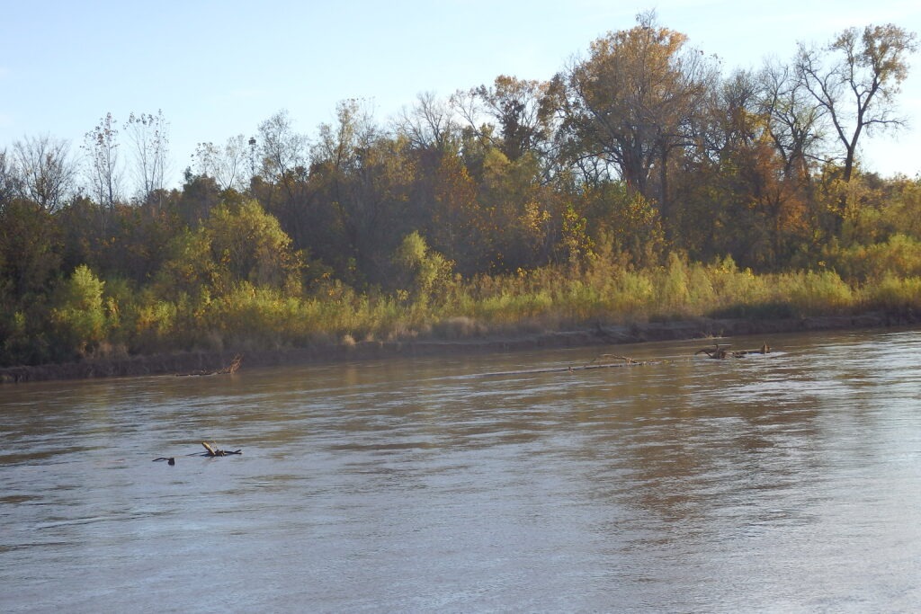 Calm river scene at sunrise, with reflections of colorful autumn foliage and a few logs floating on the water's surface.